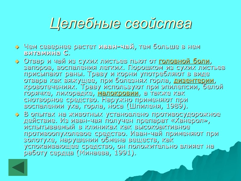 Целебные свойства Чем севернее растет иван-чай, тем больше в нем витамина С. Отвар и